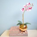 Ver imagem 1 de Arranjo de Orquídea Tigre Realista no Vaso de Vidro Dourado | Formosinha