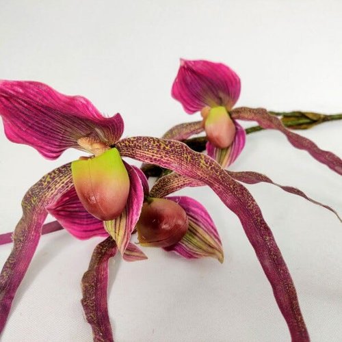Orquidea Sapatinho Venus Planta Artificial Permanente 80cm | MadeiraMadeira
