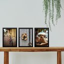 Ver imagem 2 de Kit 3 Quadros Decorativos Cachorro Caramelo 24x18cm - com Vidro:moldura Preta