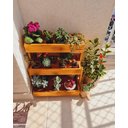 Ver imagem 5 de Suporte para Plantas, Prateleira Chão, Floreira, Jardineira P11