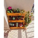Ver imagem 5 de Suporte para Plantas, Prateleira Chão, Floreira, Jardineira P11