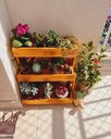 Ver imagem 5 de Suporte para Plantas, Prateleira Chão, Floreira, Jardineira P11