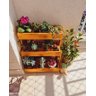Suporte para Plantas, Prateleira Chão, Floreira, Jardineira P11 - 5