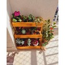 Ver imagem 5 de Suporte para Plantas, Prateleira Chão, Floreira, Jardineira P11