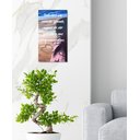 Ver imagem 2 de Quadro com Frase Motivacional Decorativo para Parede Original Medindo 61x 34 Cm