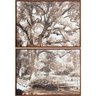 Conjunto de Quadros Telas Decorativas Paisagem Parque com Árvore Kit com 2 Quadros de 70x50cm - 2