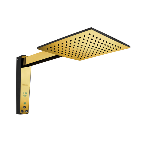 Chuveiro Acqua Century Digital - Preto com Dourado- 220v