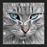 Relógio de Parede Personalizado Moldura Preta Pet Cara de Gato 30x30cm - 1