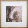 Quadro com Moldura na Cor Dourada Flor Cardo Tom Sépia 50x50cm - 1