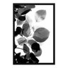 Quadro com Moldura Preta Folhas em Preto e Branco 60x90cm - 1