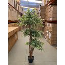 Ver imagem 3 de Ficus Variegata Permanente Árvore Realista Planta com 1.70m