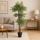 Ver imagem 1 de Ficus Variegata Permanente Árvore Realista Planta com 1.70m