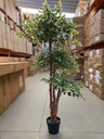 Ver mais imagens de Ficus Variegata Permanente Árvore Realista Planta com 1.70m