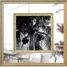 Quadro Decorativo com Margem de Espelho Palmeira Tropical 55x55cm - 1