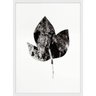 Quadro Decorativo Folha Minimalista com Moldura Branca 50x70cm - 1