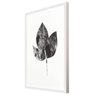 Quadro Decorativo Folha Minimalista com Moldura Branca 50x70cm - 2