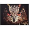 Quadro Tela Decorativa Emoldurada Coruja de Olhos Vermelhos 80x60cm - 1