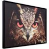 Quadro Tela Decorativa Emoldurada Coruja de Olhos Vermelhos 80x60cm - 2