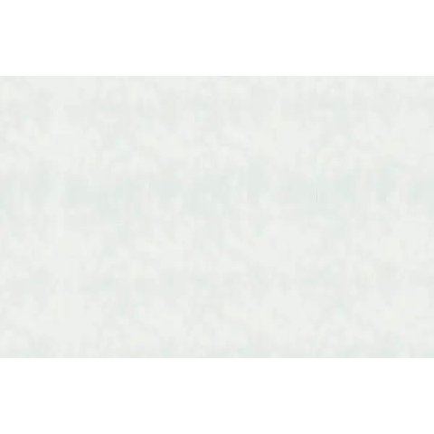 Papel de Parede Folhas Pinceladas Off-white - Pp319 Rolo de 16m2