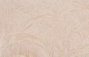 Ver imagem 2 de Papel de Parede Folha de Bambu Tropical - Pp238-2 Rolo de 16m2