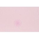 Ver imagem 2 de Papel de Parede Floral Rose - Pp102-1 Rolo de 5m2
