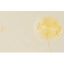 Ver imagem 3 de Papel de Parede Floral Infini - Pp037 Rolo de 16m2