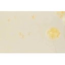 Ver imagem 2 de Papel de Parede Floral Infini - Pp037 Rolo de 16m2