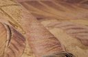 Ver imagem 4 de Papel de Parede Folhagem Injetado - Pp277-2 Rolo de 5m2