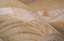 Ver imagem 4 de Papel de Parede Folhagem Injetado - Pp277-1 Rolo de 5m2