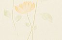 Ver imagem 3 de Papel de Parede Floral Rose - Pp147-3 Rolo de 5m2