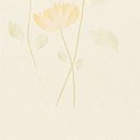 Ver imagem 6 de Papel de Parede Floral Rose - Pp147-3 Rolo de 5m2
