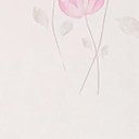 Ver imagem 6 de Papel de Parede Floral Rose - Pp147 Rolo de 5m2