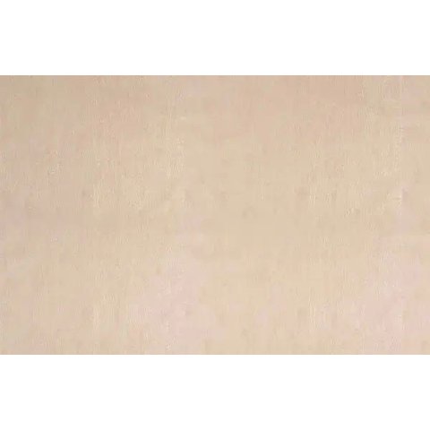 Papel de Parede Imitação de Madeira - Pp249-1 Rolo de 16m2