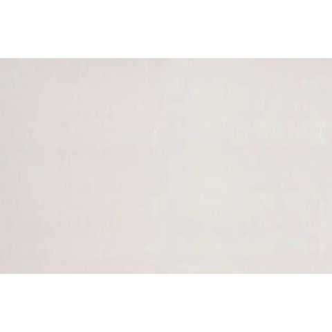 Papel de Parede Texturizado Emborrachado - Pp248-1 Rolo de 16m2