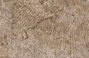 Ver imagem 3 de Papel de Parede Arabesco Infini - Pp022-3 Rolo de 16m2
