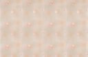 Ver imagem 1 de Papel de Parede Floral Tulipas Landscape - Pp207-1 Rolo de 5m2