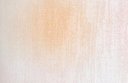 Ver imagem 3 de Papel de Parede Floral Tulipas Landscape - Pp207-1 Rolo de 5m2