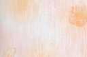 Ver imagem 2 de Papel de Parede Floral Tulipas Landscape - Pp207-1 Rolo de 5m2
