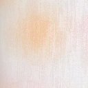 Ver imagem 6 de Papel de Parede Floral Tulipas Landscape - Pp207-1 Rolo de 5m2