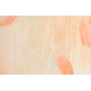 Ver imagem 3 de Papel de Parede Floral Tulipas Landscape - Pp207 Rolo de 5m2