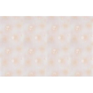 Papel de Parede Floral Tulipas Landscape - Pp207 Rolo de 5m2