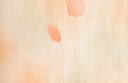 Ver imagem 2 de Papel de Parede Floral Tulipas Landscape - Pp207 Rolo de 5m2