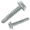 Ver imagem 1 de Parafuso Sextavado Autobrocante 5,5 X 25 Zinco - 300pçs