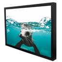 Ver imagem 3 de Quadro Decorativo Leão Marinho em Moldura Caixa Tacolado Moldura Trad 1cm Madeira Escura sem Vidro 3