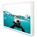 Ver imagem 2 de Quadro Decorativo Leão Marinho em Moldura Caixa Tacolado Moldura Trad 1cm Madeira Escura sem Vidro 3