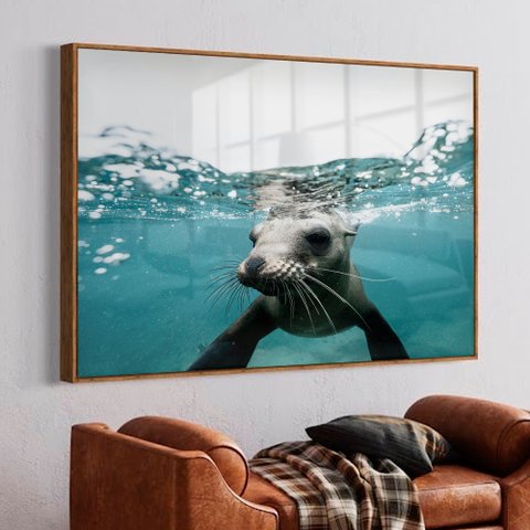 Quadro Decorativo Leão Marinho em Moldura Caixa Tacolado Moldura Trad 1cm Madeira Escura sem Vidro 3