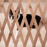 Portao Retratil Bambu Grade Cao Gato Pet Cachorro Bebe Criança Animal de Estimaçao Cercado Ajustavel - 6