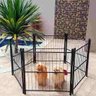 Cercado Casinha Cachorro Pet Filhotes Cão 6/80cm com Portão - Preto - 1