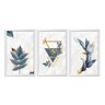 Conjunto Kit 3 Quadros Floral ArgosMoldura Branca - Oppen House Decora - 2
