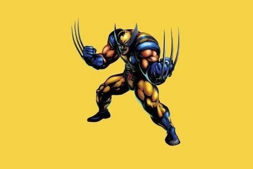 Painel de Festa Wolverine Logan #05 - 150x100 - 1